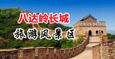 我可能是条假人鱼中国北京-八达岭长城旅游风景区